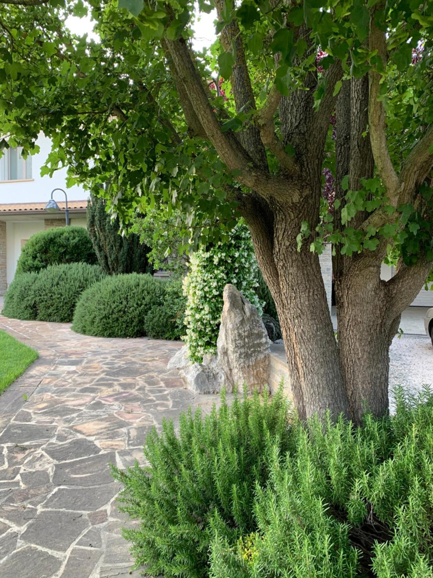 B&B Beauty House Cesena Exterior foto