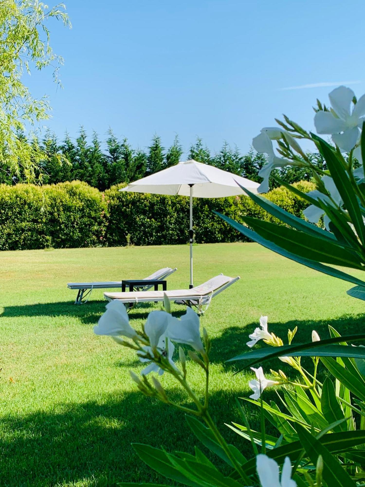 B&B Beauty House Cesena Exterior foto